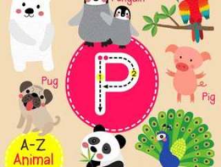 字母P动物园字母表