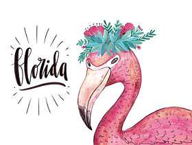矢量水彩火烈鸟字符与佛罗里达州的花冠