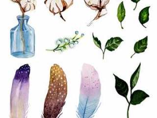 Beautiful Watercolor Floral Elements Collection
