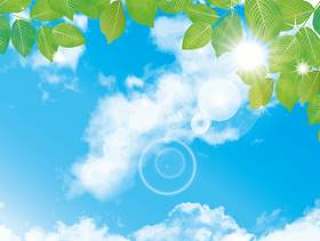 蓝蓝的天空新鲜绿色年轻叶子天空纹理背景材料壁纸图片