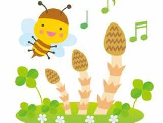 蜜蜂和蜜蜂的春天