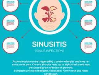 鼻窦炎信息图表插图