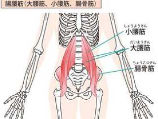 肠腰筋