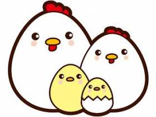 蛋型鸡家庭