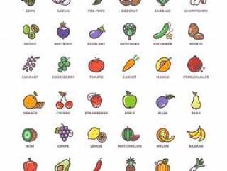 水果和蔬菜线矢量图标与平元素