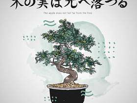 与盆景树传染媒介例证的日本信件行情