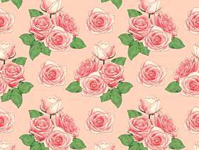 无缝的样式罗斯在桃红色淡色背景开花。