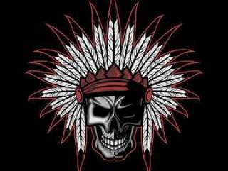 Native American indian feather skull