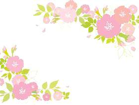 樱花盛开框架背景框架春天娃娃节日花卉毕业线图片