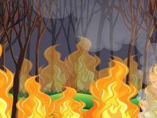 森林野火灾难