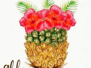 菠萝里的扶桑花