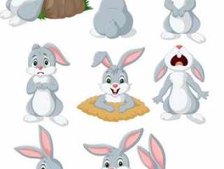 与另外姿势和表示的动画片兔子