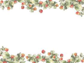 花框架182 - 野草莓，树莓花框架