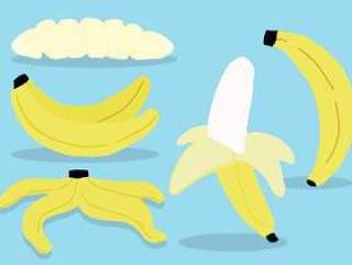 大蕉向量