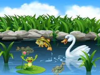 Cute swan swimming on the pond and frog