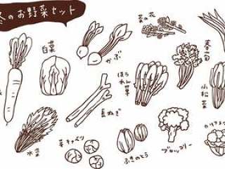 冬季蔬菜集的绘图