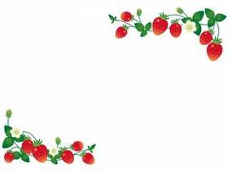 草莓框架