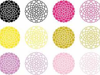 菊花图案3_6种颜色