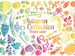 设计：水彩和秋季收藏