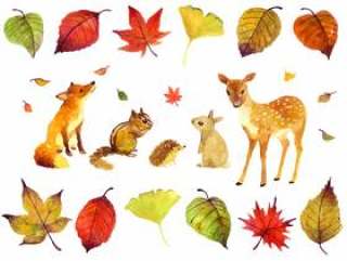 秋天的动物插图