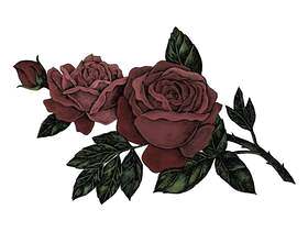 手拉的新鲜的红色玫瑰