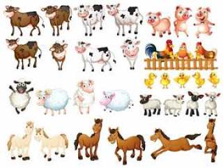 多种农场动物
