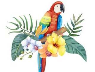与热带花的手拉的鹦鹉