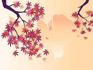 光滑的日本枫树植物瀑布背景和秋天的枫叶