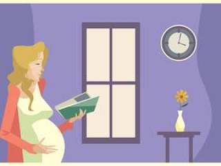 年轻的孕妇在窗口前阅读一本书在下午矢量