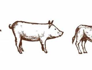 手绘的猪猪牛肉