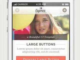 Caprice iPhone App UI Kit Psd