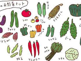 夏季蔬菜集的颜色