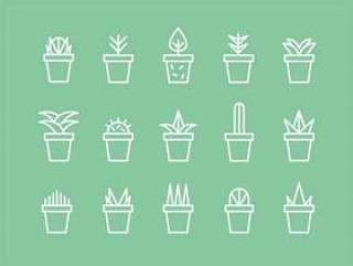 Succulent Icon Set