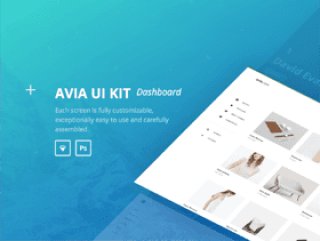 美丽40模板仪表板工具包，Avia UI工具包：仪表板