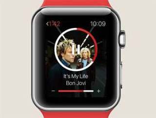 Apple Watch 音乐播放器