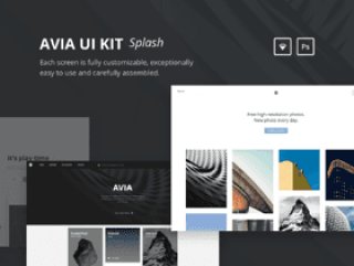 美丽的40模板主页工具包，Avia UI Kit：Splash