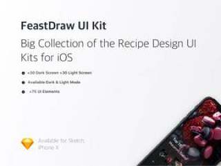 在Sketch。，FeastDraw UI Kit中设计的浅色和深色iOS Recipe UI工具包