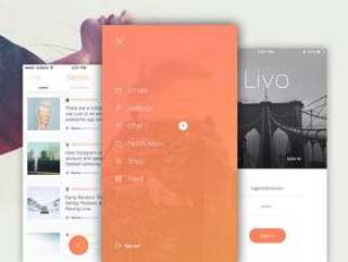 Livo UI Kit