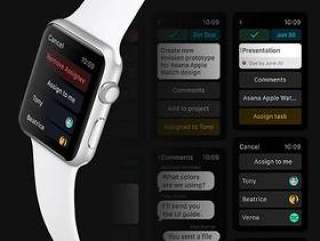 Asana Apple Watch 任务应用界面