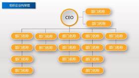 标准创意组织架构图PPT模板6