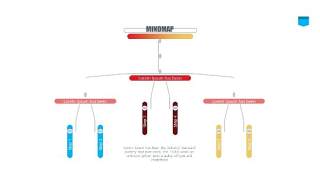彩色思维导图逻辑PPT信息可视化图表5