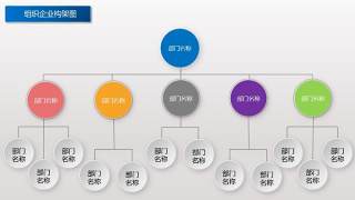 标准创意组织架构图PPT模板4
