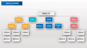 标准创意组织架构图PPT模板3