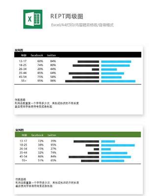 REPT两级图Excel表格模板