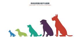 PPT信息图表犬类狗图形