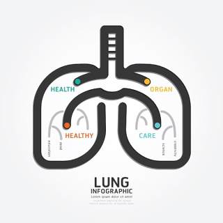 信息图形库12011