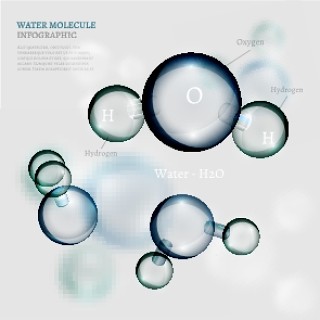 信息图表生物气泡24