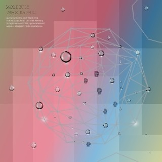信息图表生物气泡12