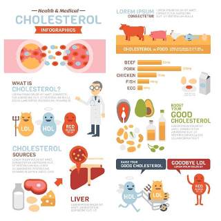 医学胆固醇信息图