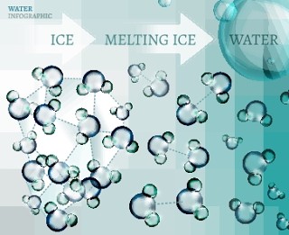 信息图表生物气泡23